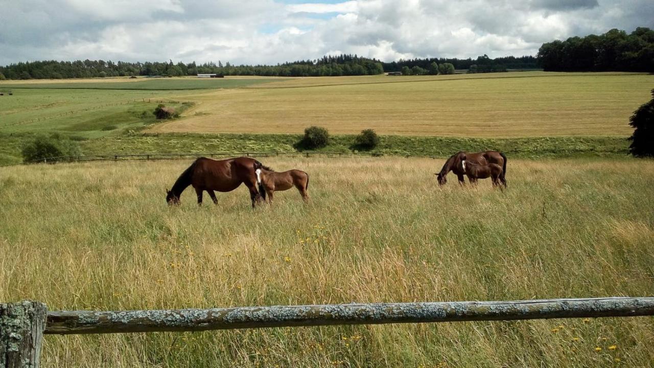 Schoene Aussicht Vohl Luaran gambar